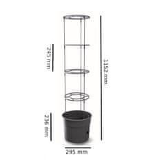 botle 3x cserép Paradicsom Eper Bab Uborka 29.5cm+ Föld, univerzális szubsztrát 30L