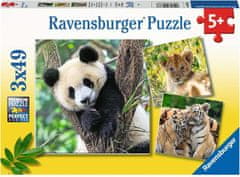 Ravensburger Puzzle Panda, tigris és oroszlán 3x49 darab