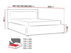 Veneti PALIGEN 2 franciaágy ágyneműtartóval és ágyráccsal 160x200 - szürke 2