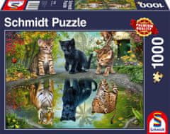 Schmidt Puzzle Dream Big 1000 darab