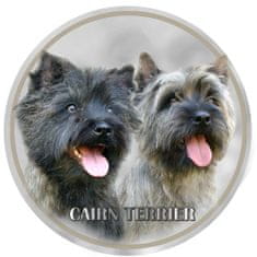 saxun Matrica autóra Cairn terrier