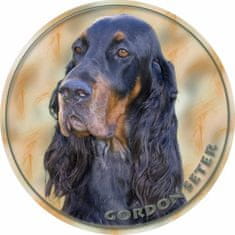 saxun Matrica autóra Gordon szetter - Gordon Setter