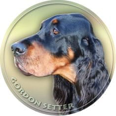 saxun Matrica autóra Gordon szetter - Gordon Setter