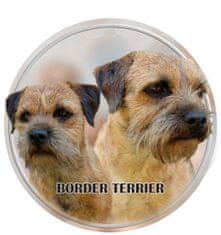 saxun Matrica autóra Border terrier