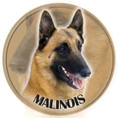 saxun Matrica autóra Malinois 