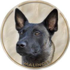 saxun Matrica autóra Malinois