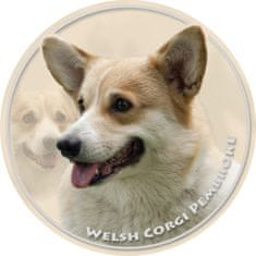 saxun Matrica autóra Welsh corgi pembroke