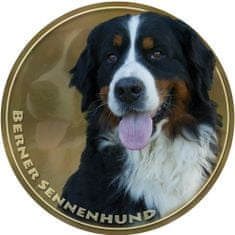 saxun Matrica autóra Berni pásztorkutya - Bernese Mountain Dog