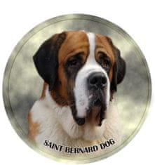 saxun Matrica autóra Szent Bernáthegyi - Saint Bernard Dog