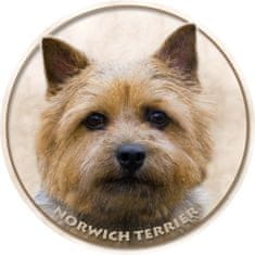 saxun Matrica autóra Norwich terrier