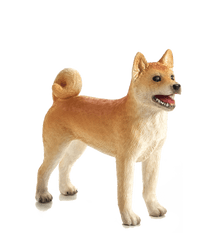 Mojo kutya Shiba Inu