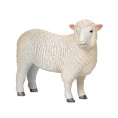 Mojo Sheep romney