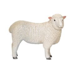 Mojo Sheep romney