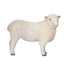 Mojo Sheep romney