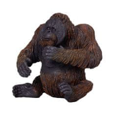 Mojo Orangután