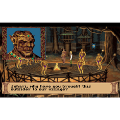 Activision Quest for Glory 1-5 (PC - Steam elektronikus játék licensz)