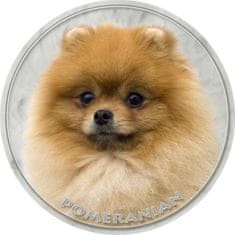 saxun Matrica autóra Törpespitz Pomerániai (Pomeranian)