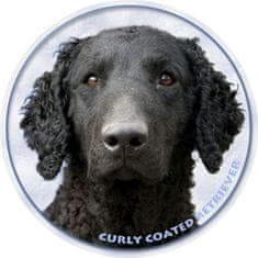 saxun Matrica autóra Curly Coated Retriever