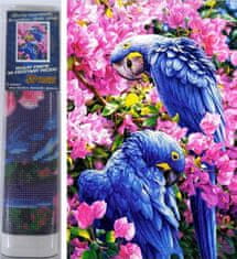 Norimpex Gyémántfestés Kék papagájok 30x40cm