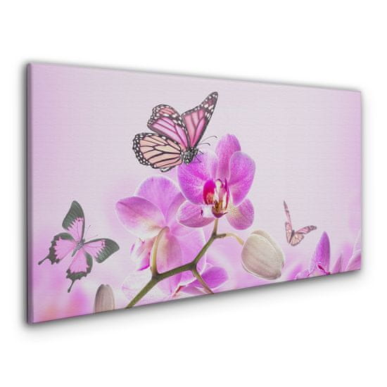 COLORAY.HU Vászonkép Virágok természet pillangó
