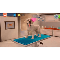 Nacon Animal Hospital (Nintendo Switch - Dobozos játék)