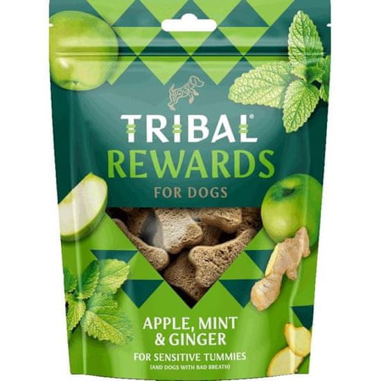 Tribal Rewards Snack alma, menta és gyömbér 125 g