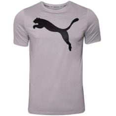 Puma Póló kiképzés ibolya M Active Big Logo Tee