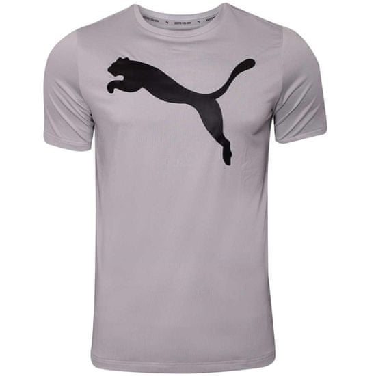 Puma Póló kiképzés ibolya Active Big Logo Tee