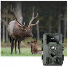 Dexxer Vezeték nélküli hordozható vadászkamera LCD 36Mpx FULL HD
