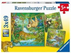 Ravensburger Puzzle Dzsungel állatok 3x49 darab