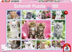 Schmidt Puzzle Cicák 100 darab