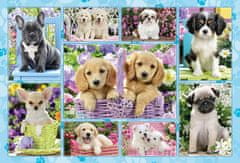 Schmidt Puzzle Puppies 200 darab