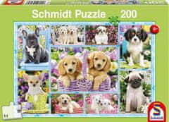 Schmidt Puzzle Puppies 200 darab