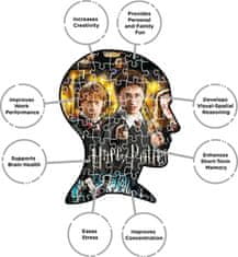 Aquarius Puzzles Rejtvény Harry Potter: Filmplakátok 1000 db