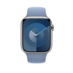 Apple 45mm Winter Blue Sport Band - M/L