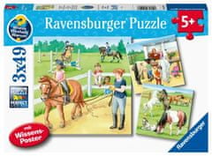 Ravensburger Puzzle - Lovak 3 x 49 darab