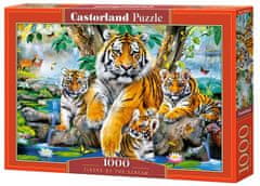 Castorland Puzzle Tigrisek a folyónál 1000 darab