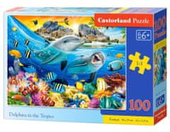 Castorland Puzzle Delfinek a trópusokon 100 darab