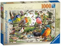 Ravensburger Puzzle - Tollas barátaink 1000 darab