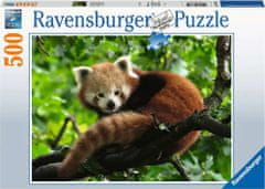 Ravensburger Red Panda Puzzle 500 darabos puzzle