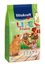 Vitakraft Rágcsáló Tengerimalac etetett Life Power 600g