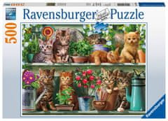 Ravensburger Puzzle Macskák a könyvtárban 500 darab