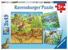 Ravensburger Puzzle Háziállatok otthonukban 3x49 darab