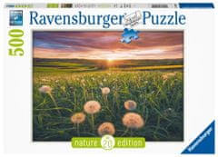 Ravensburger Puzzle - Pitypang a naplementében 500 darab