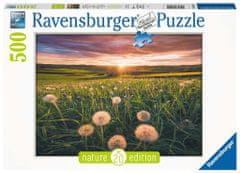 Ravensburger Puzzle - Pitypang a naplementében 500 darab