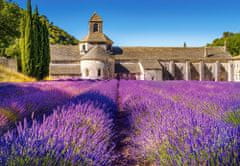 Castorland Puzzle Levendula mező Provence-ban, Franciaország 1000 darab