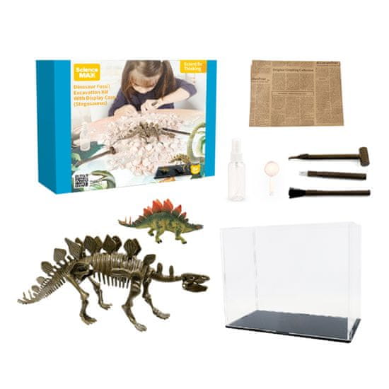Aga4Kids Kis paleontológus készlet Stegosaurus