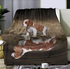 EXCELLENT Mikro plüss meleg takaró 150x200 cm - Cavalier King Charles spániel