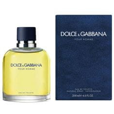 Dolce & Gabbana Pour Homme 2012 - EDT 75 ml