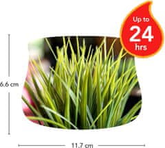 Yankee Candle Outdoor Illatgyertya Sparkling Lemongrass 283 g